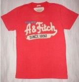 Camiseta Hollister Masculina #7