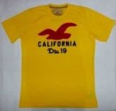 Camiseta Hollister Masculina #4